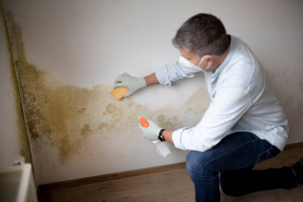 Dehumidification Services in Golden Valley, MN