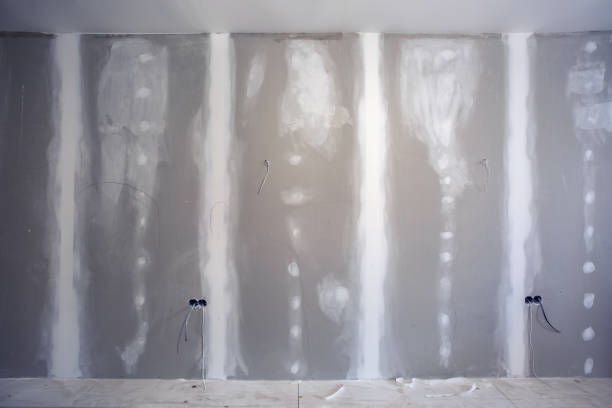 Best Crawl Space Mold Remediation  in Golden Valley, MN