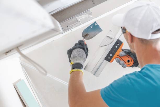 Best Dehumidification Services  in Golden Valley, MN